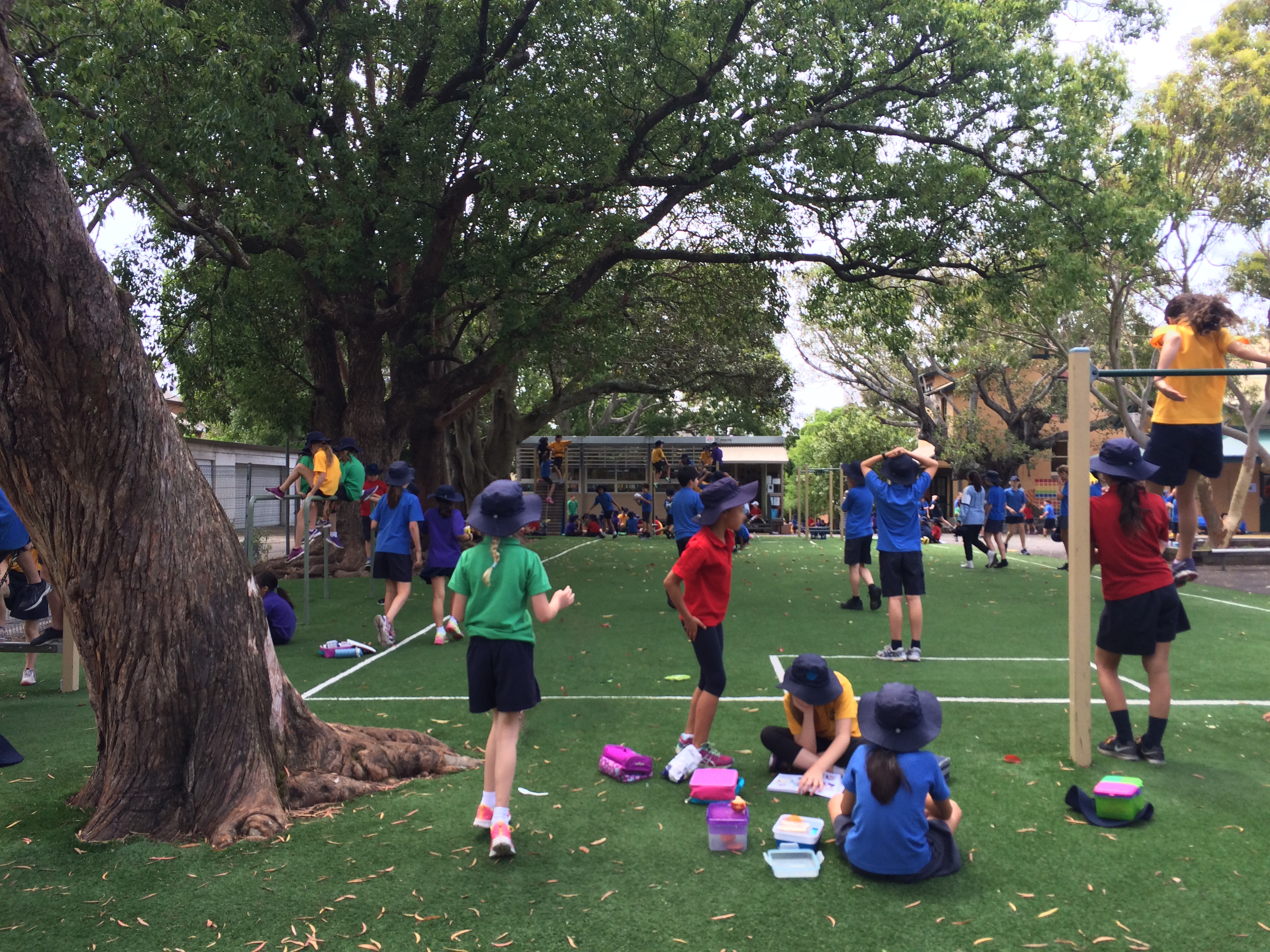 An overcrowded school ground
