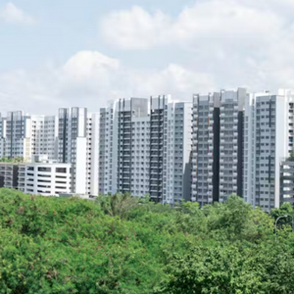 Lush park and trees beside a skyline of buildings