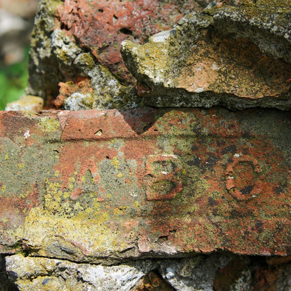 Erroded and mossy brick