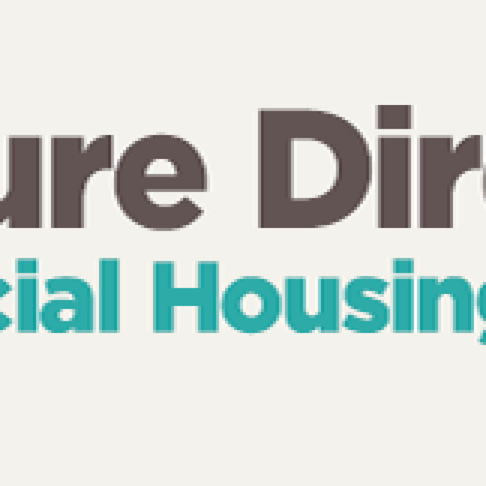 Future Directions logo