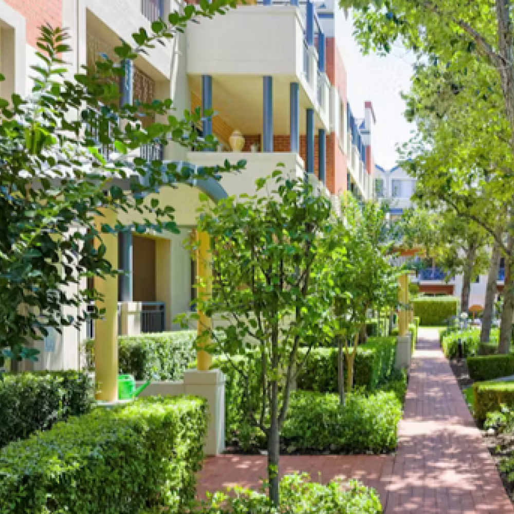 Apartment footpath with trees