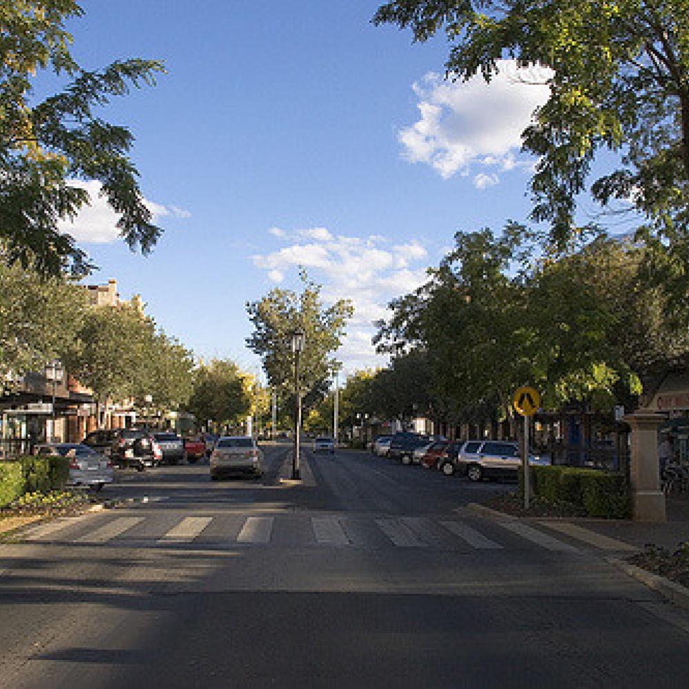 Street with trees on eaither side