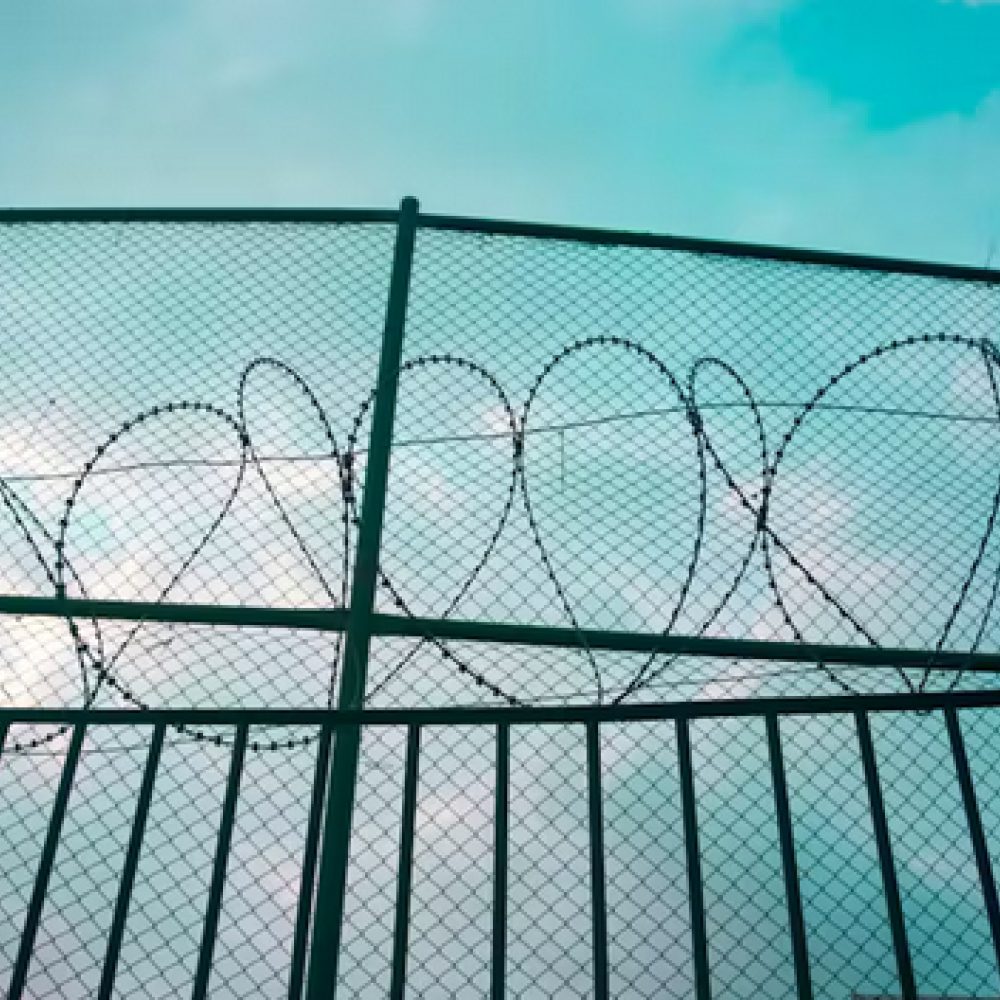 Barbed wire jail fence