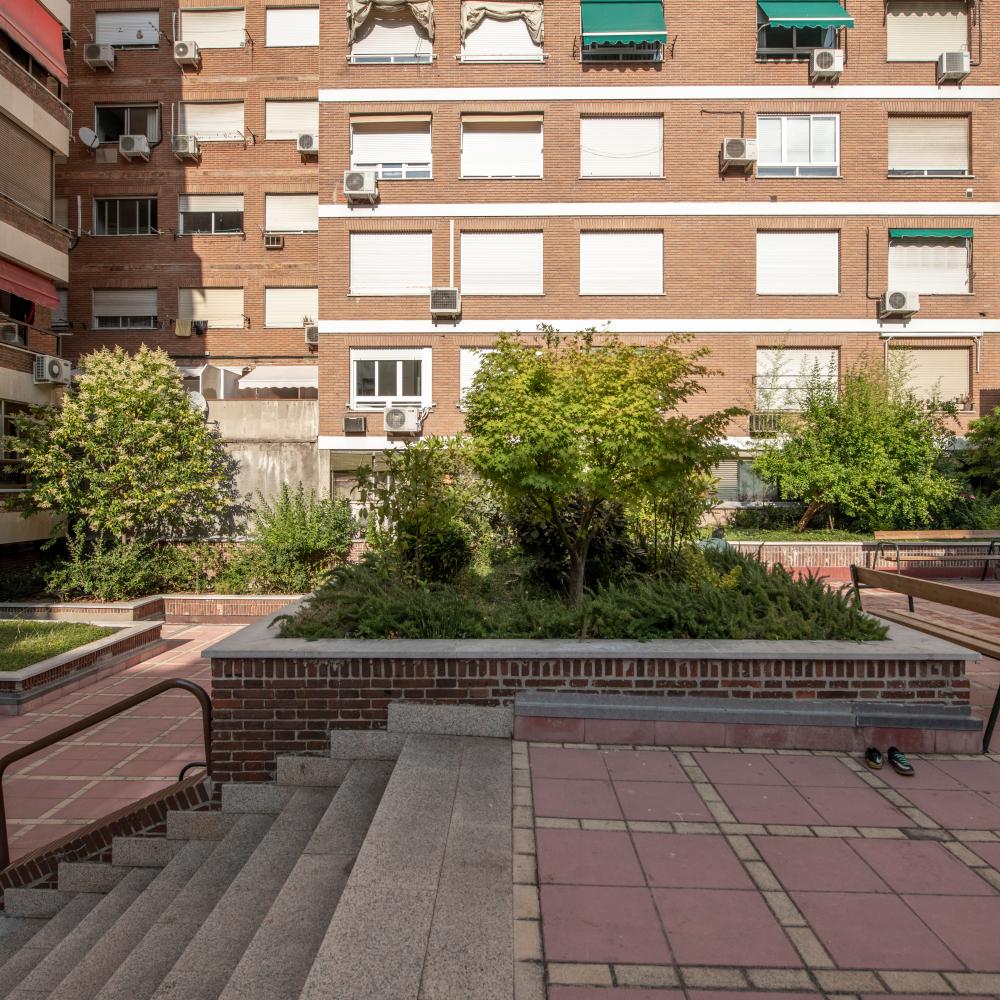 Brick courtyard with plants