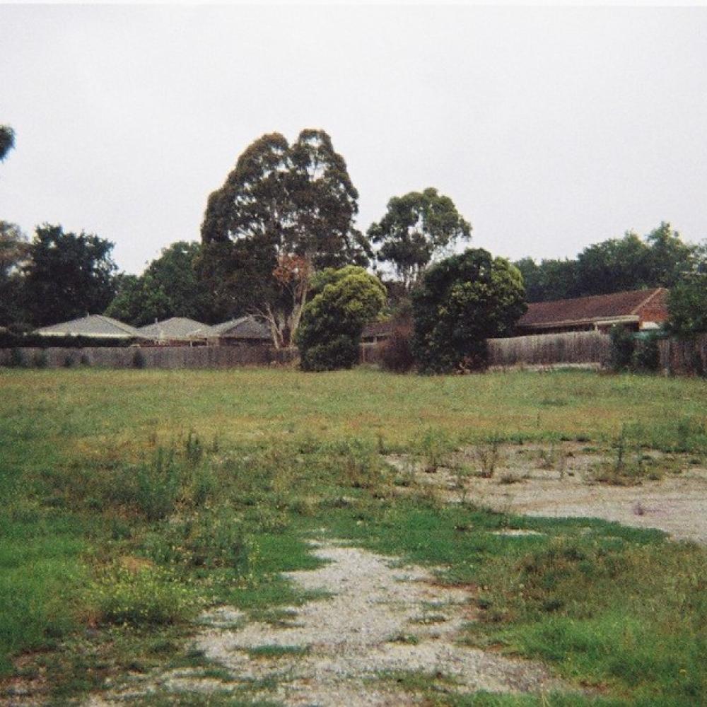 Empty plot of land with grass